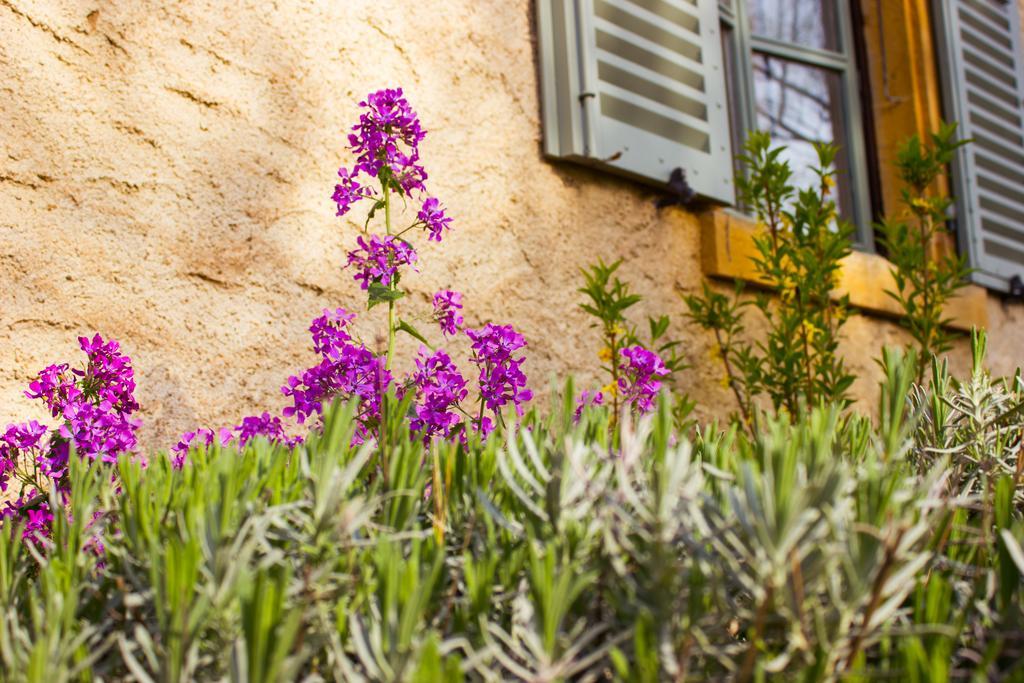 Bed and Breakfast Aux Ronzieres Pouilly-sous-Charlieu Habitación foto